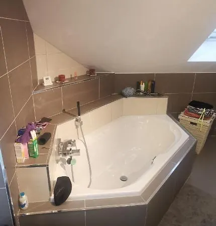Appartement Chez Manu à Voellerdingen Extérieur photo