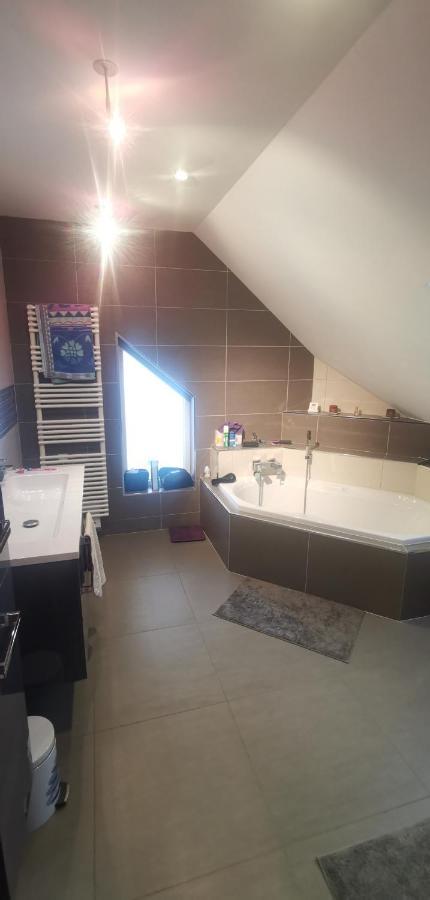 Chez Manu Homestay Voellerdingen